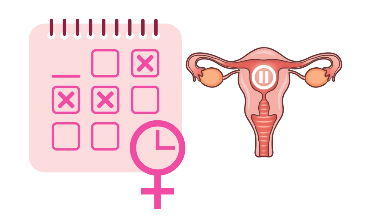 Immagine dell'articolo: Menopausa e Fitness